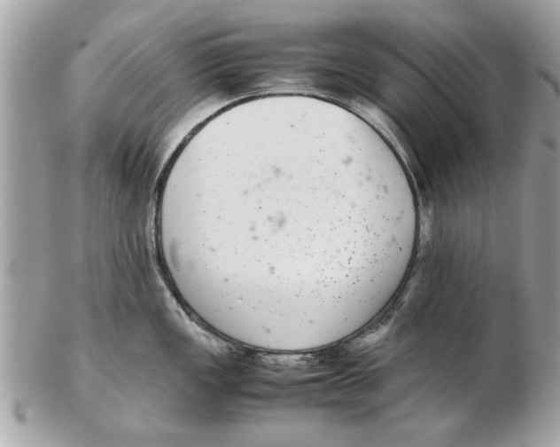 X0000102381149200808291355