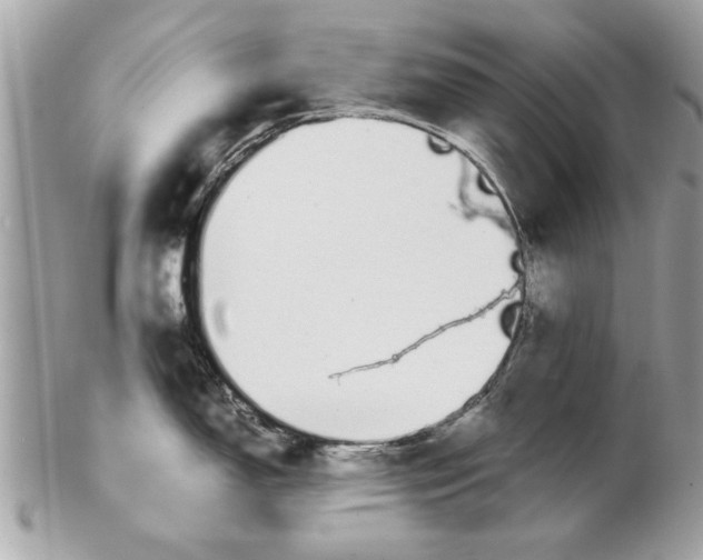 X0000102381150200808291355