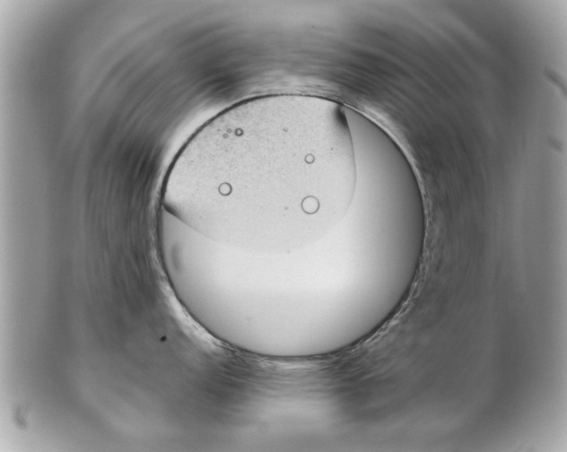 X0000102381152200808291355