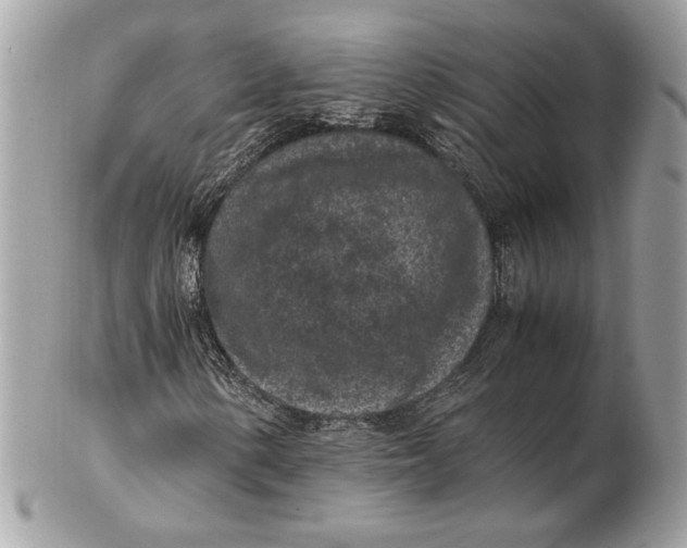 X0000102381154200808291355