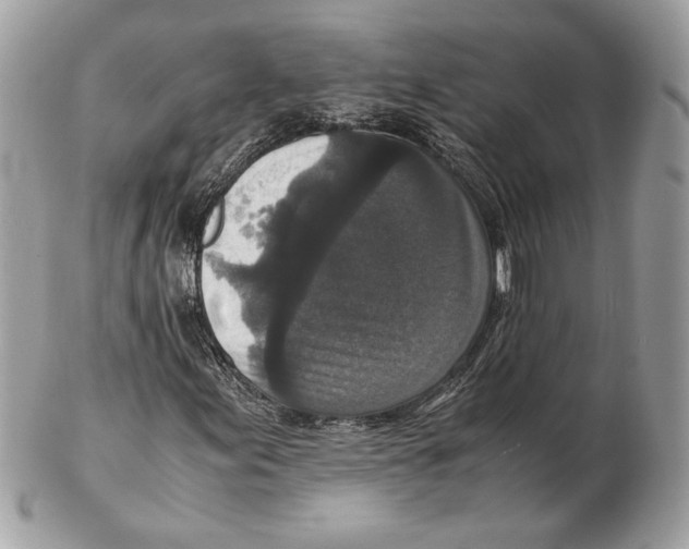 X0000102381155200808291355