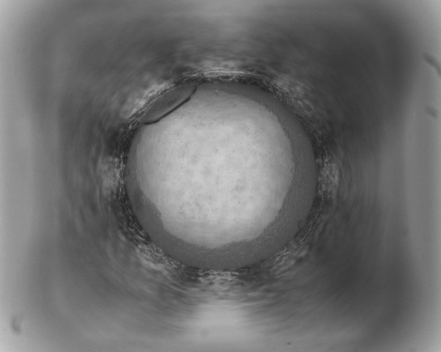 X0000102381157200808291355