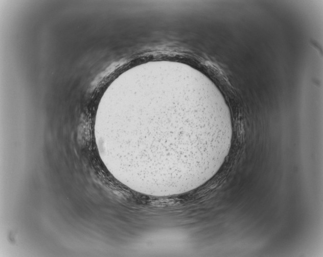 X0000102381159200808291355