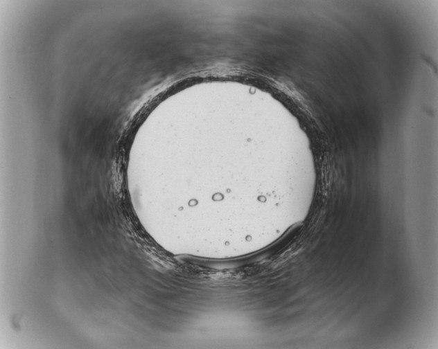 X0000102381160200808291355