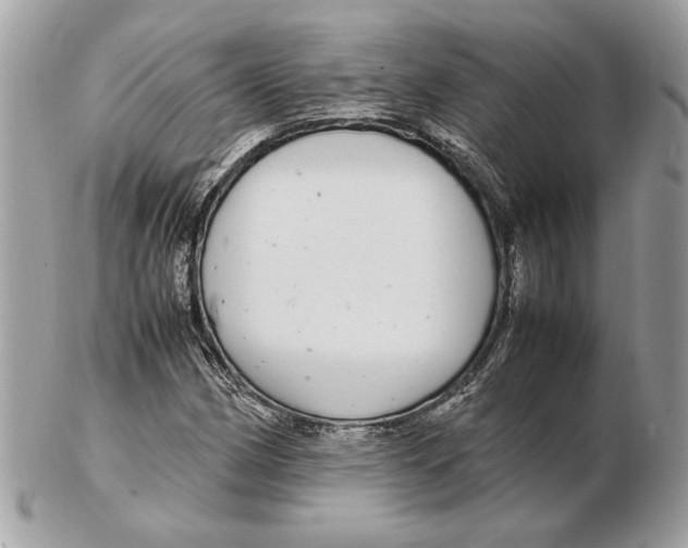 X0000102381162200808291355