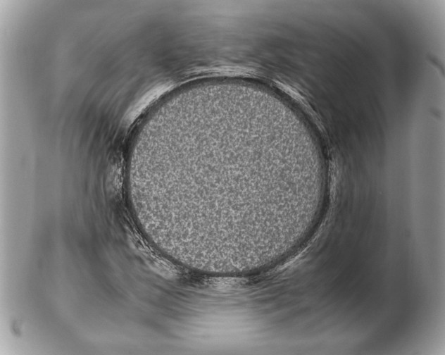 X0000102381163200808291355