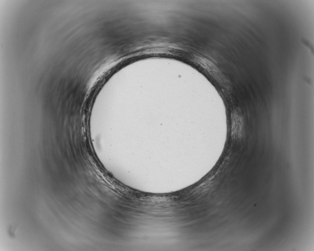 X0000102381164200808291355