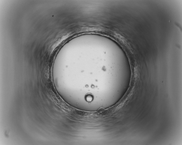 X0000102381165200808291355