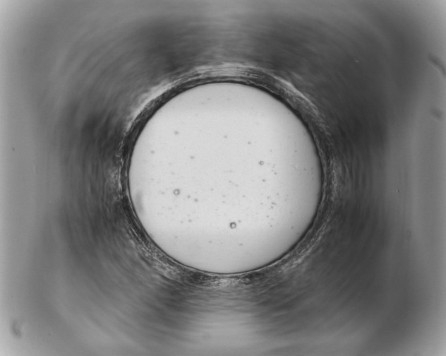 X0000102381166200808291355