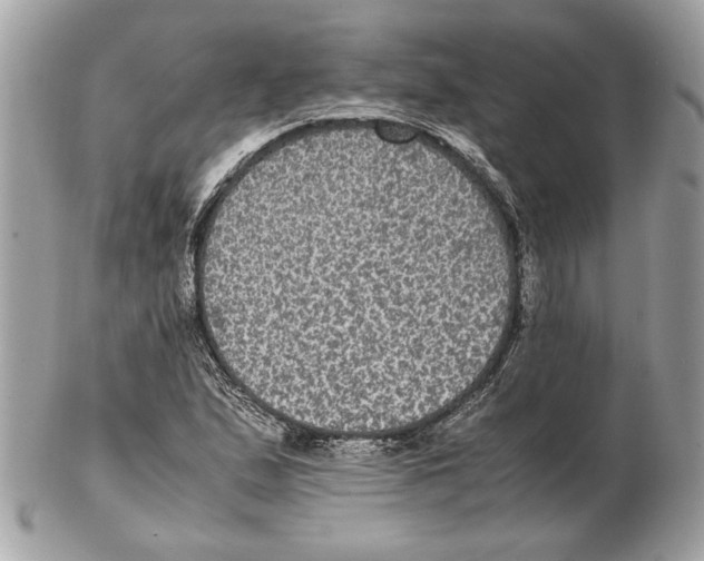 X0000102381167200808291355