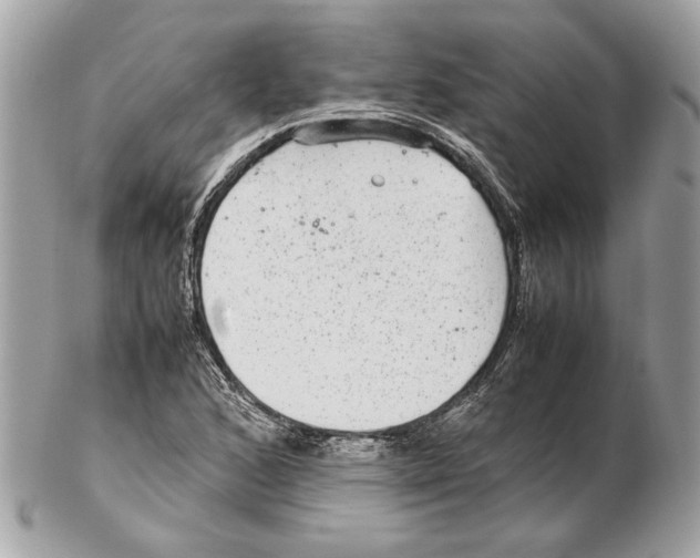 X0000102381168200808291355