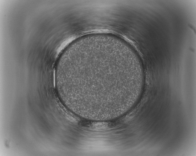 X0000102381171200808291354