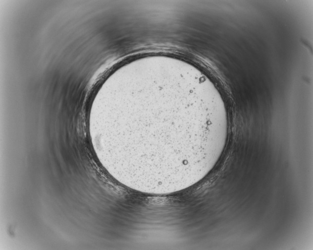 X0000102381172200808291354