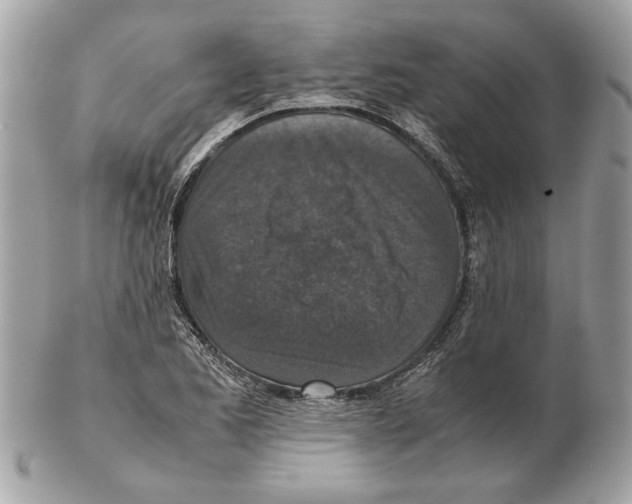 X0000102381173200808291354