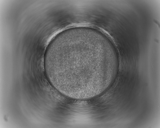 X0000102381174200808291354