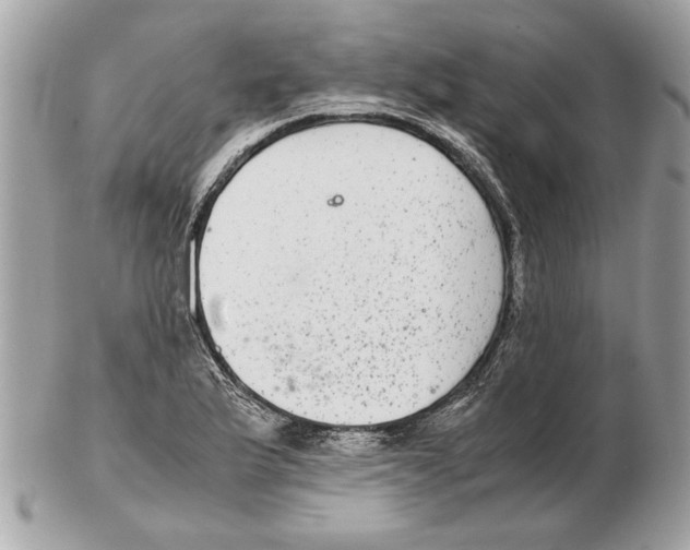 X0000102381175200808291354