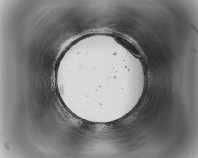 X0000102381176200808291354