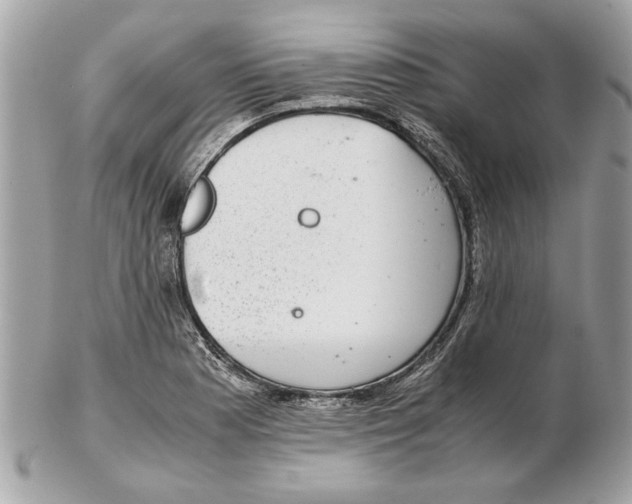 X0000102381177200808291354