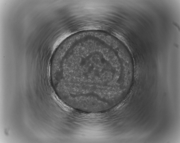 X0000102381179200808291354