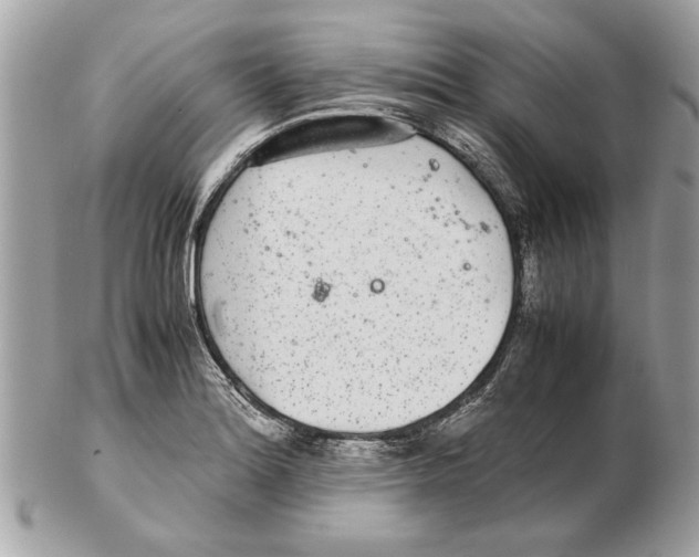 X0000102381180200808291354