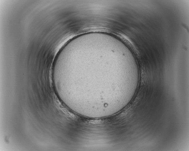 X0000102381182200808291354