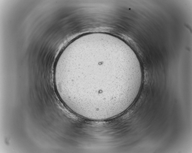 X0000102381184200808291354