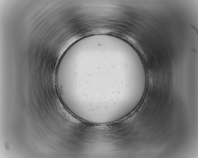 X0000102381186200808291354