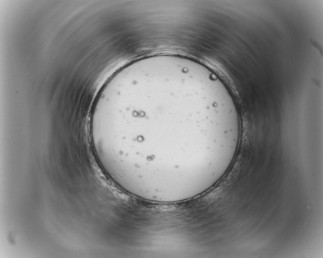 X0000102381190200808291354