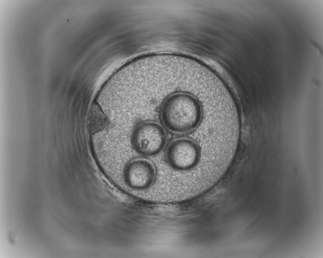 X0000102381191200808291354