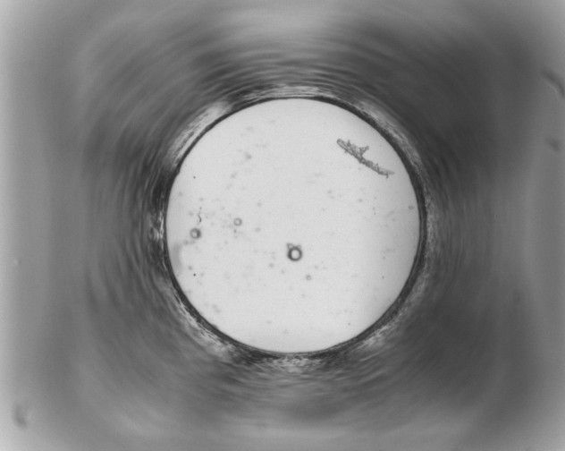 X0000102381193200808291354