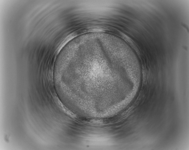 X0000102381194200808291354