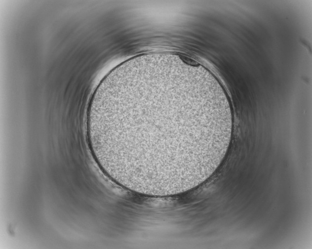 X0000102381195200808291354