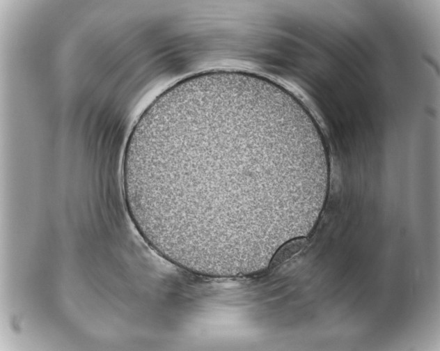 X0000102381199200808291354