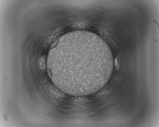 X0000102381203200808291353