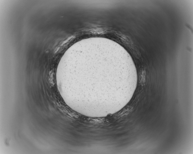 X0000102381205200808291353