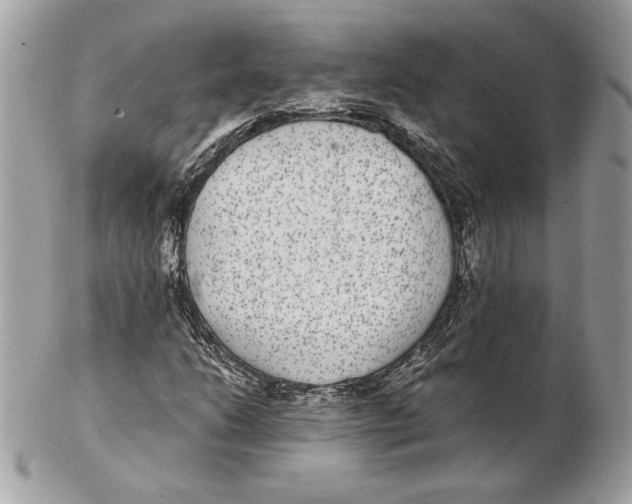 X0000102381206200808291353