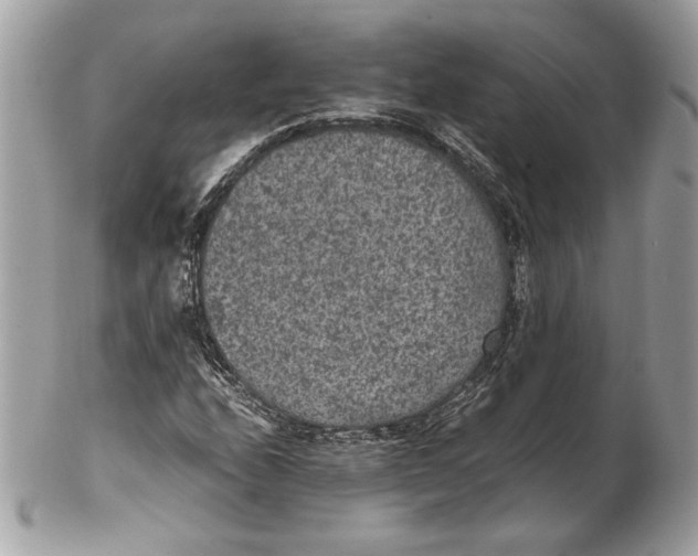 X0000102381208200808291354