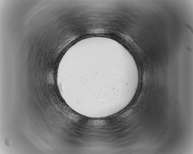 X0000102381209200808291354