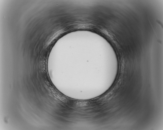 X0000102381211200808291354