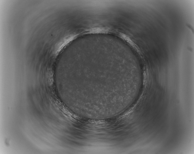 X0000102381213200808291354