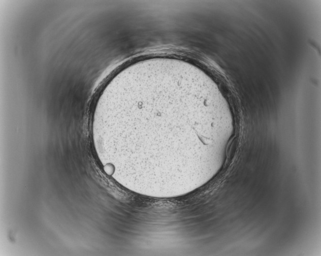 X0000102381216200808291354