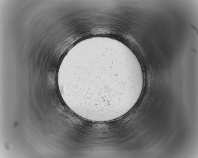 X0000102381217200808291354