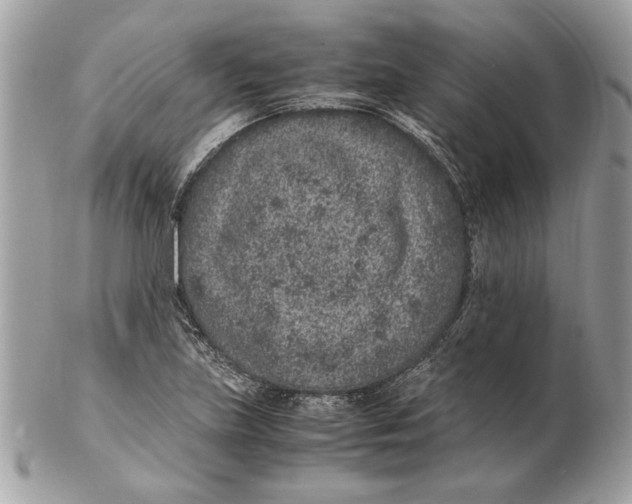 X0000102381219200808291354