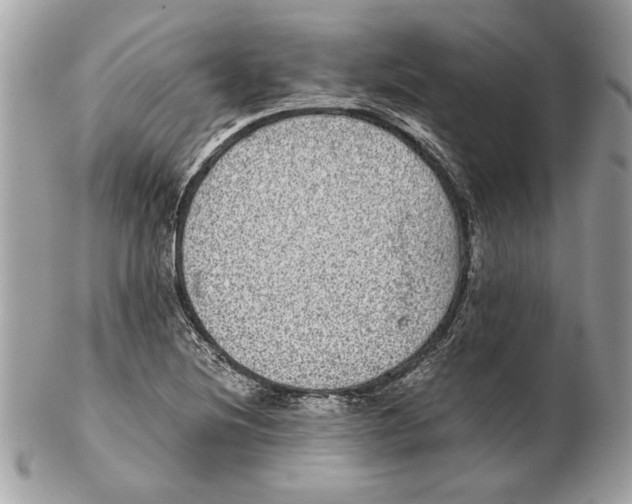 X0000102381220200808291354