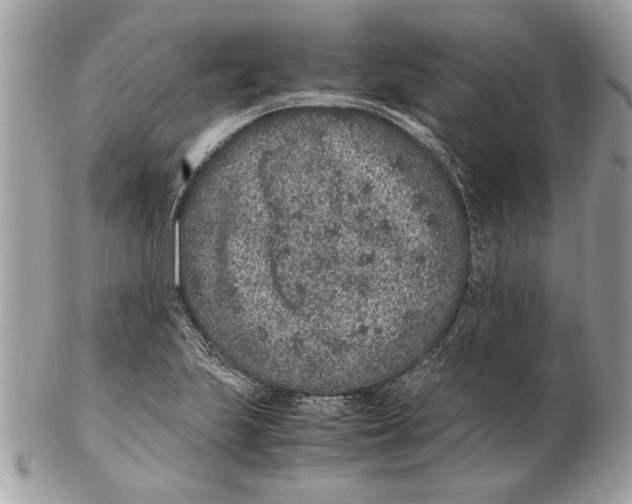 X0000102381223200808291354