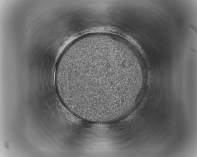 X0000102381224200808291354