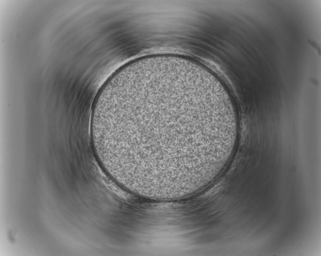 X0000102381228200808291354