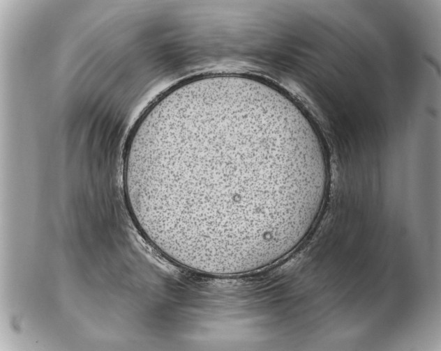 X0000102381232200808291354