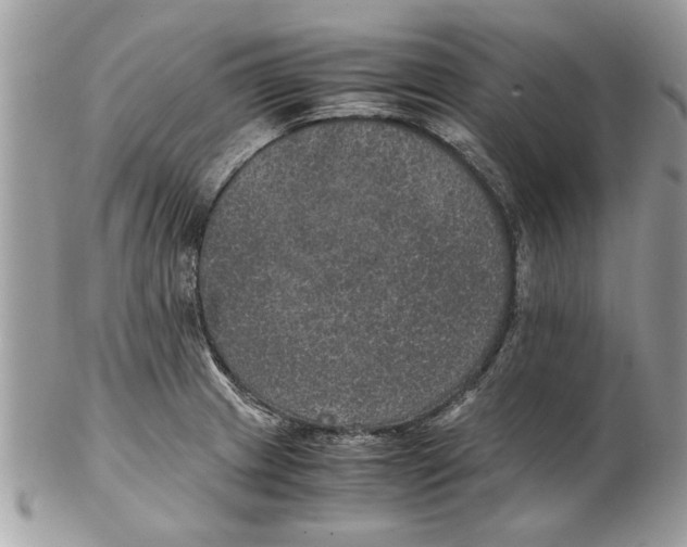 X0000102381233200808291354