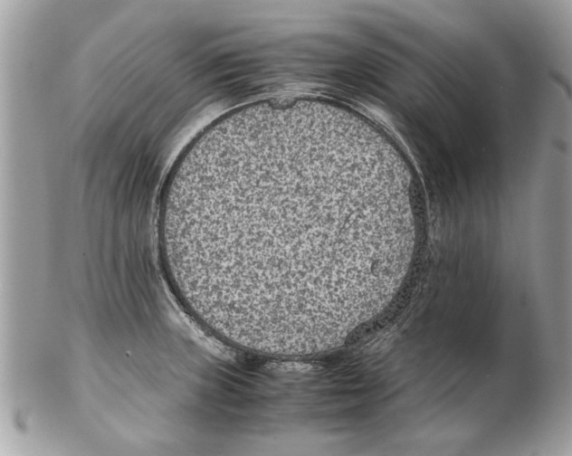 X0000102381235200808291354